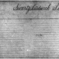 Swartz, Ludwig.pdf