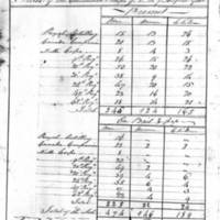 StateoftheConventionTroops8-1to4-1782.jpg